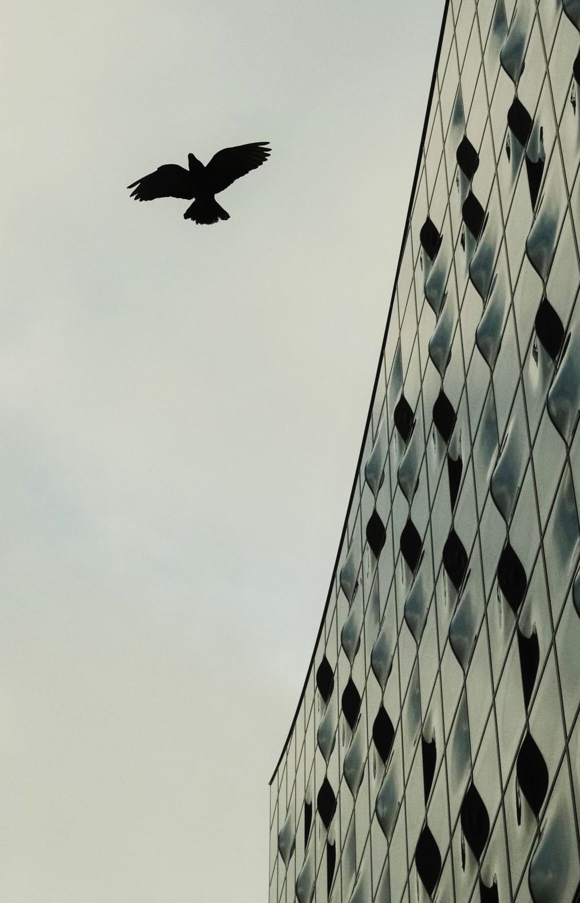 Foto de la comunidad La Mirada Creativa