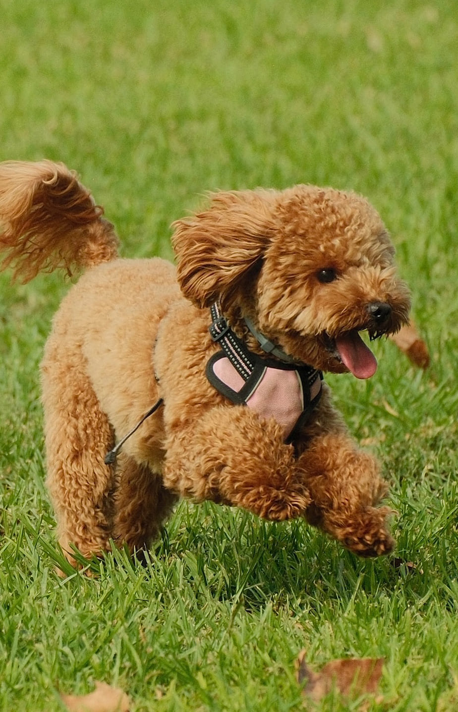Foto de la comunidad La Mirada Creativa