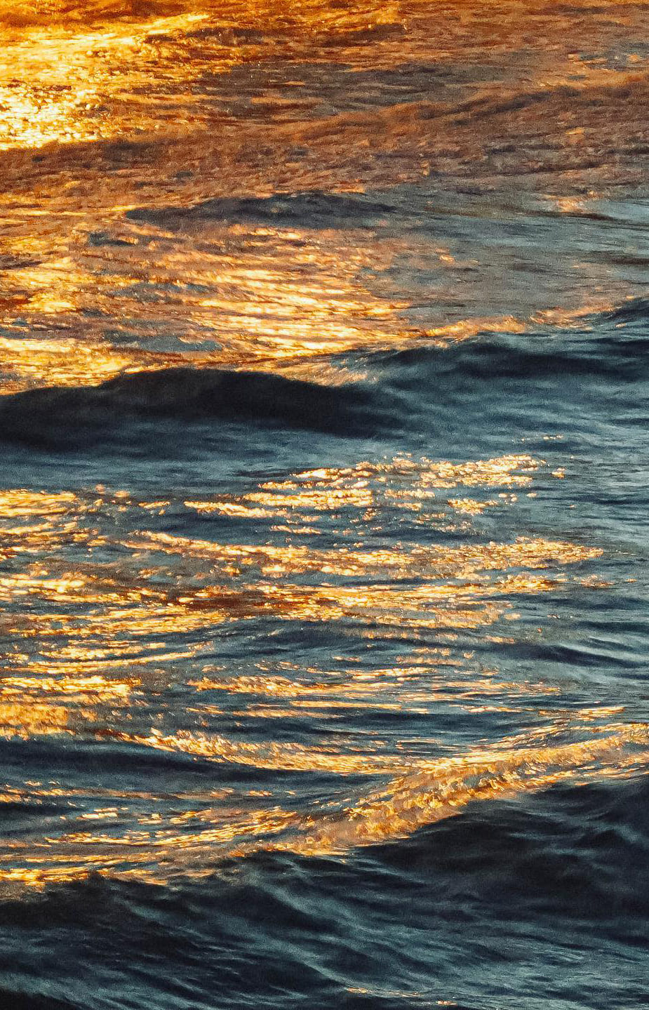 Foto de la comunidad La Mirada Creativa